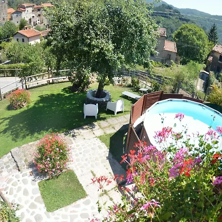 Daire Charming Stone In